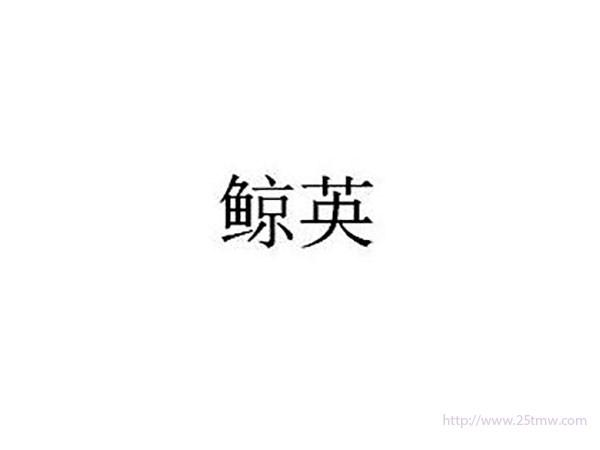鲸英