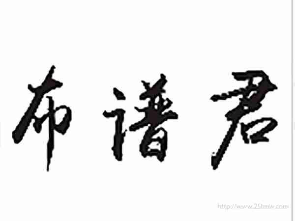 布谱君