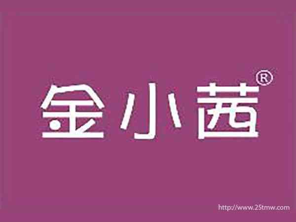 金小茜
