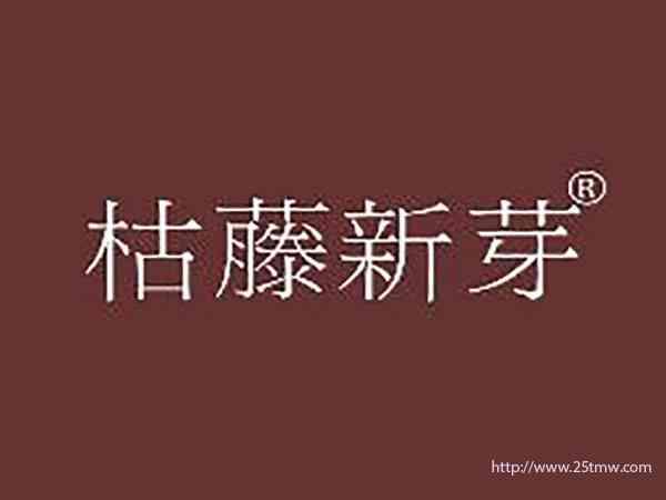 枯藤新芽