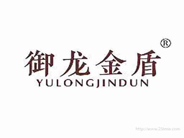 御龙金盾