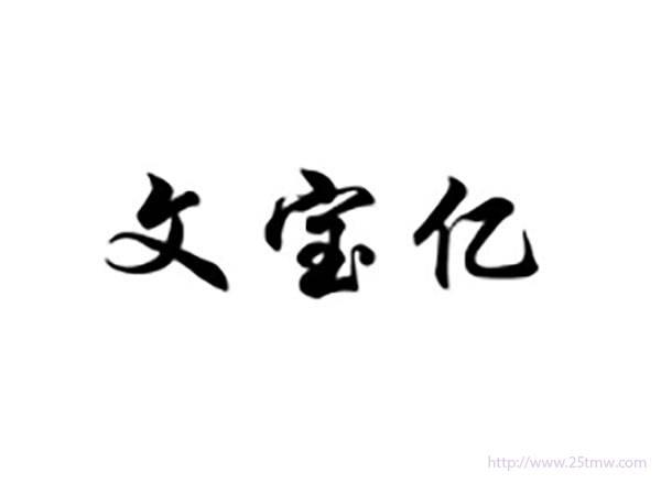 文宝亿