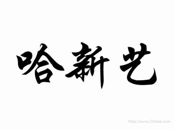 哈新艺
