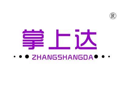 掌上达