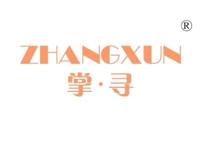掌寻