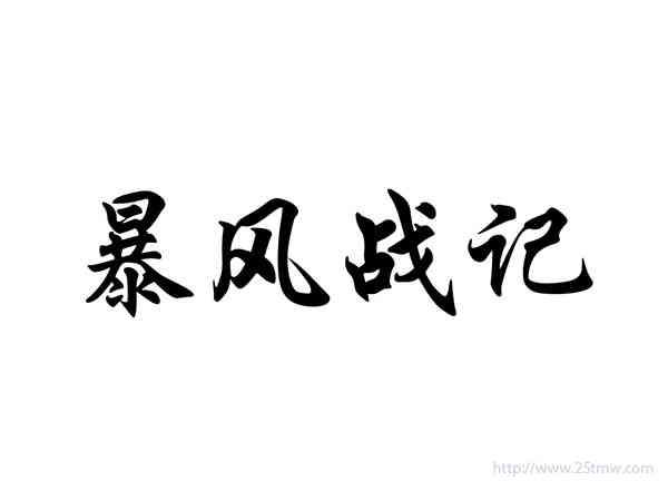 暴风战记