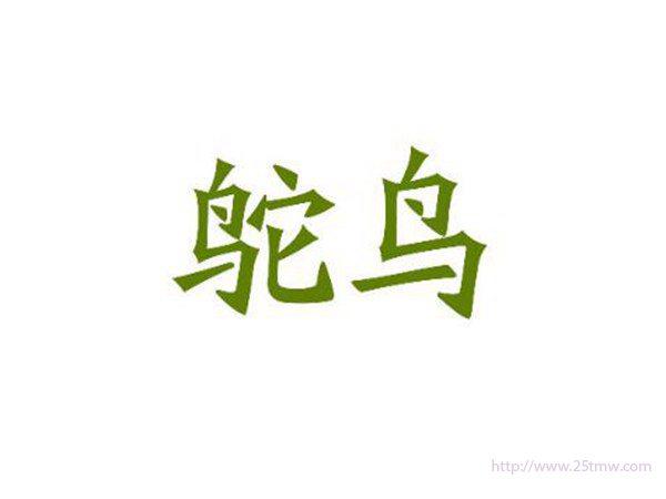 鸵鸟