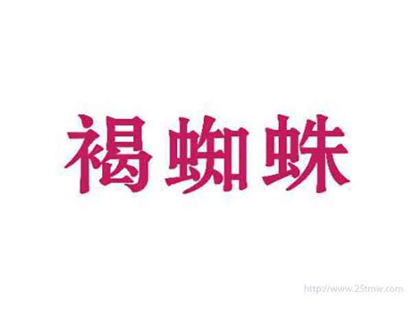 褐蜘蛛