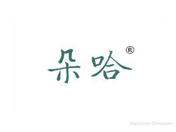 朵哈