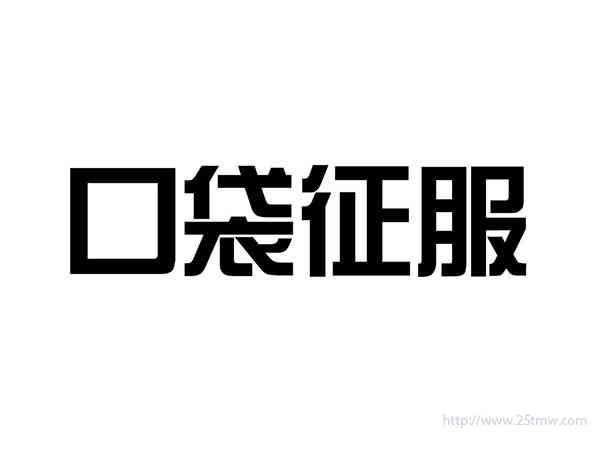 口袋征服