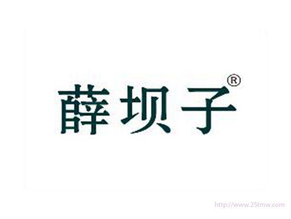 薛坝子