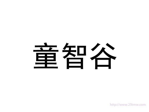 童智谷