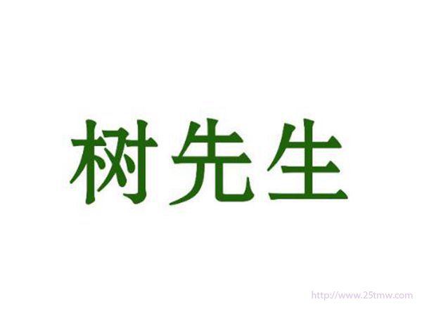 树先生