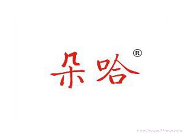 朵哈