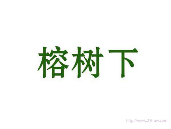 榕树下