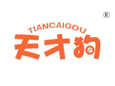 天才狗