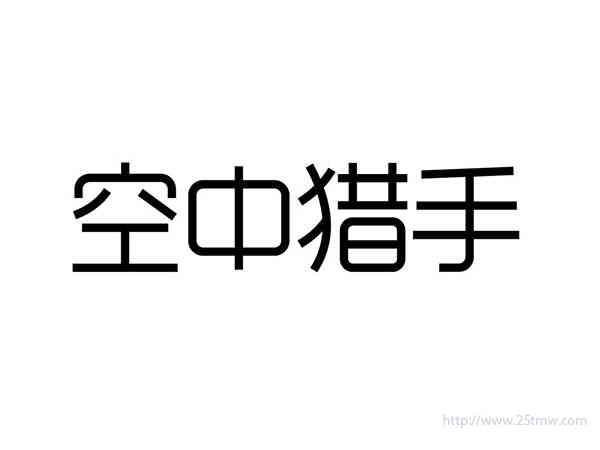 空中猎手