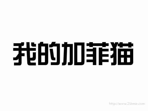 我的加菲猫