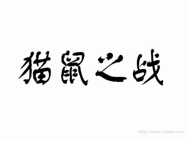 猫鼠之战