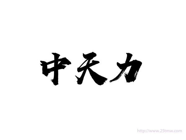 中天力