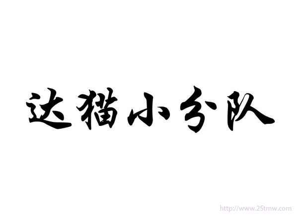 达猫小分队