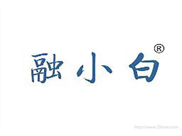 融小白