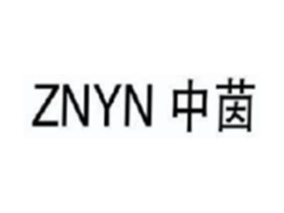 中茵ZNYN