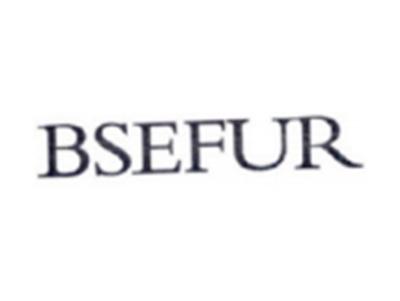 BSEFUR