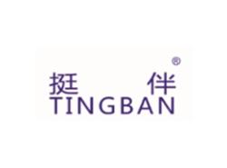 挺伴TINGBAN