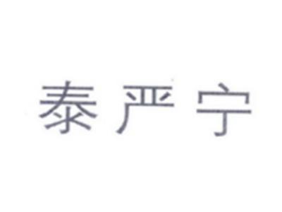 泰严宁