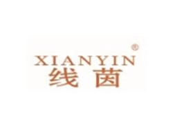 线茵XIANYIN