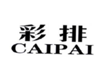 彩排CAIPAI