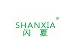 闪夏SHANXIA