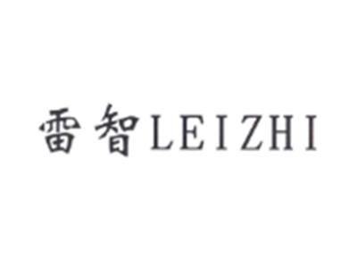 雷智LEIZHI