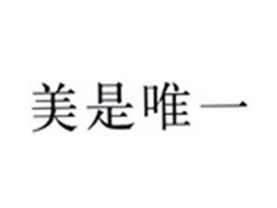 美是唯一