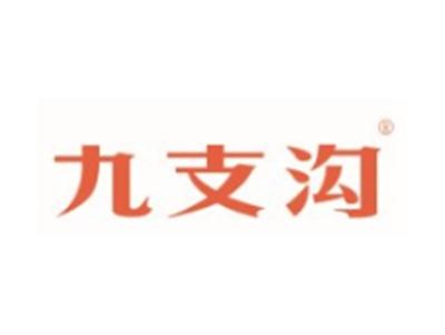 九支沟