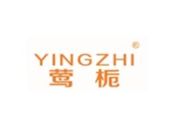 莺栀YINGZHI