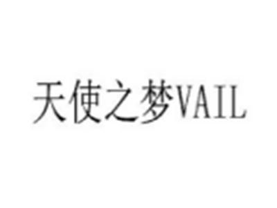 天使之梦VAIL