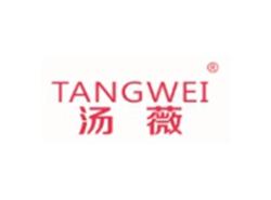 汤薇TANGWEI