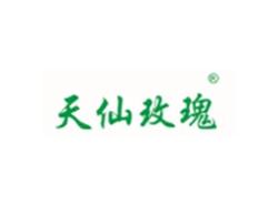 天仙玫瑰