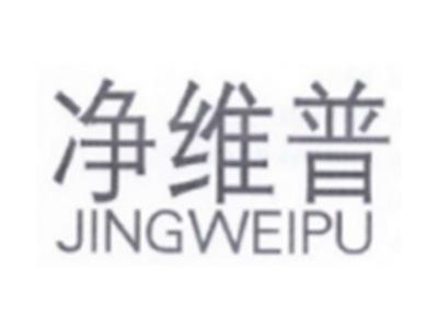 净维普JINGWEIPU