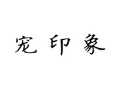 宠印象
