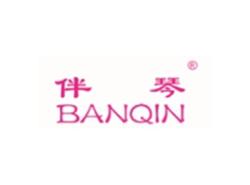 伴琴