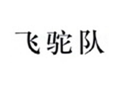 飞驼队