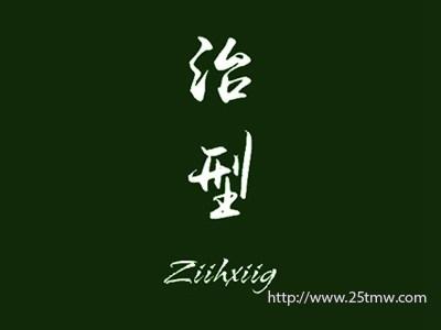 治型