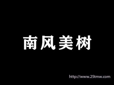 南风美树