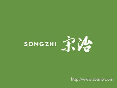 宋治