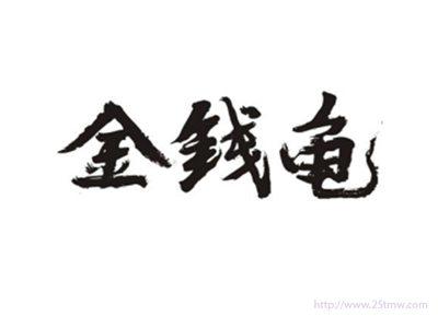 金钱龟