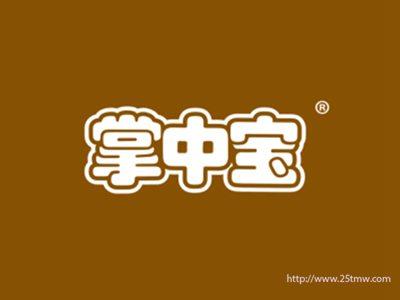 掌中宝
