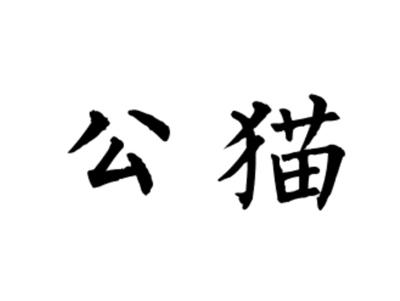 公猫